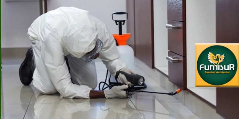 expertos en control de plagas